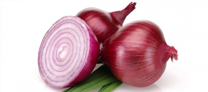 Синий или красный лук с сахаром или медом для лечения печени