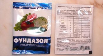 Средство для защиты растений от болезней - фундазол