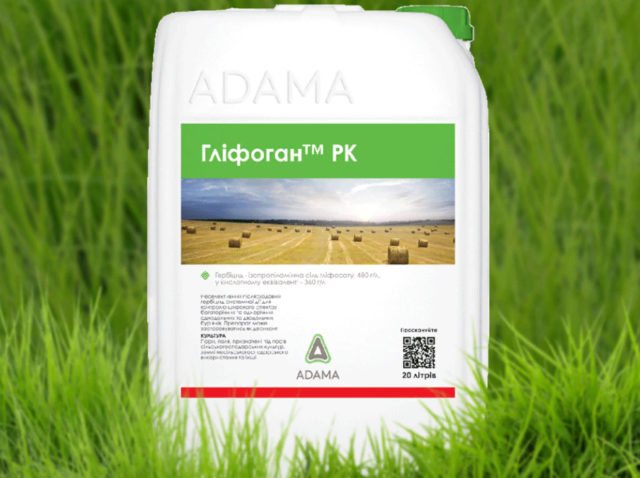 Свинорой пальчатый: самые эффективные способы уничтожить сорняк