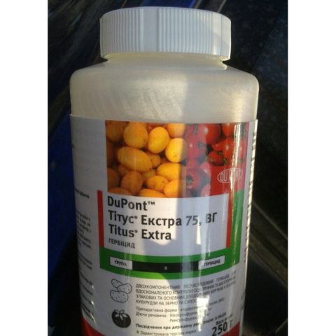 Свинорой пальчатый: самые эффективные способы уничтожить сорняк