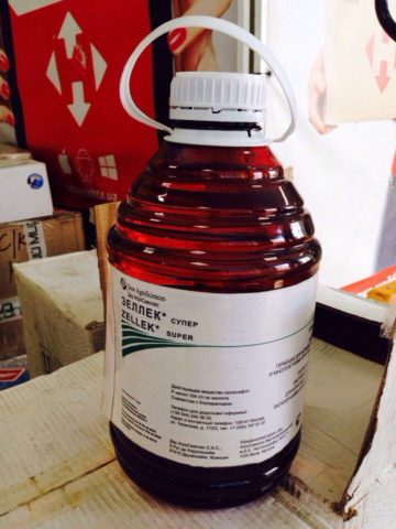 Свинорой пальчатый: самые эффективные способы уничтожить сорняк