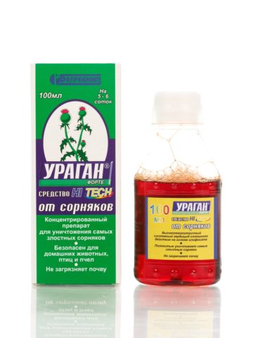 Свинорой пальчатый: самые эффективные способы уничтожить сорняк