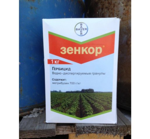 Свинорой пальчатый: самые эффективные способы уничтожить сорняк