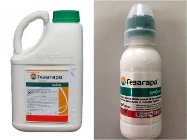 Свинорой пальчатый: самые эффективные способы уничтожить сорняк